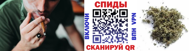 Купить где Заполярный Бутират Butirat