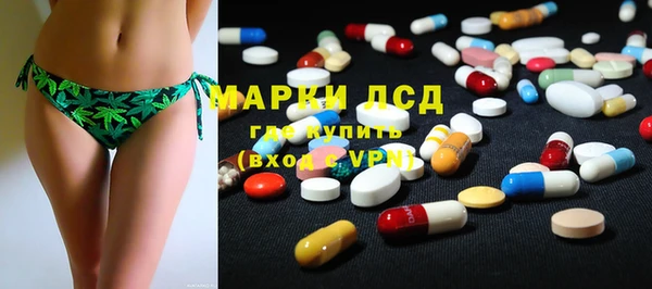 спайс Инта