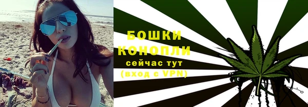 спайс Инта