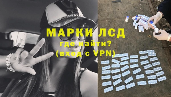 спайс Инта