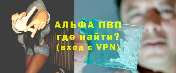 спайс Инта