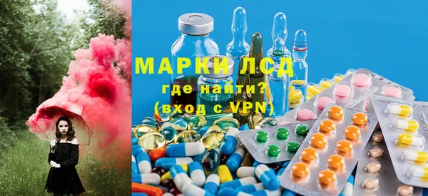 спайс Инта