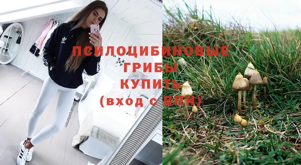 a pvp Иннополис