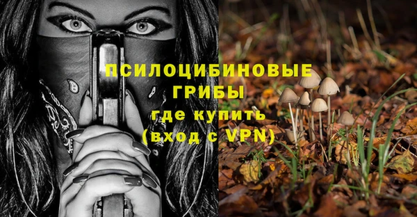 a pvp Иннополис