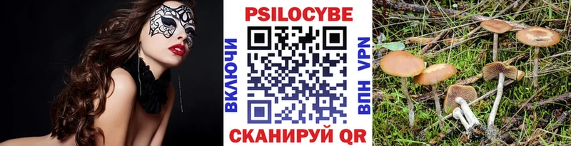 Псилоцибиновые грибы MAGIC MUSHROOMS  Купить где  Заполярный 
